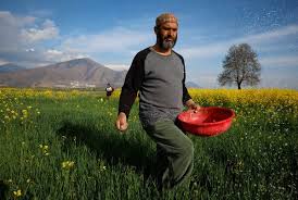 Iran Conflict Threatens Global Food Security, Straining Supply Chains