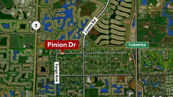 14-year-old girl critically injured in Wellington skateboard crash on Pinion Drive
