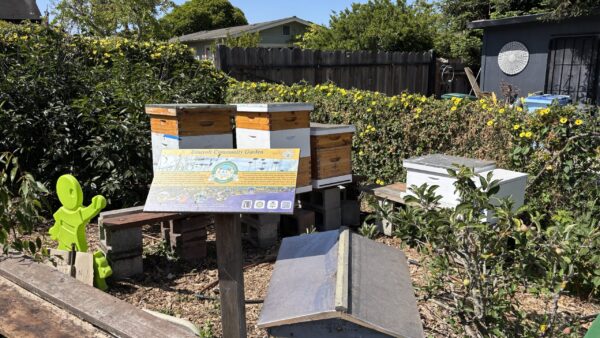 Berkeley Earth Day community event featuring people at a local garden or market