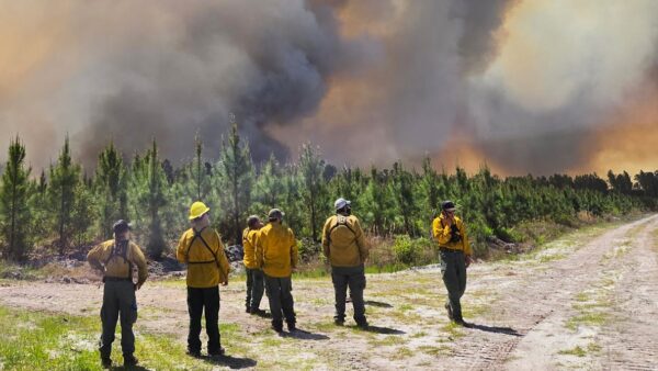 Brantley County Fire Threatens Homes Amid Severe Drought