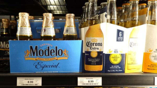 Constellation Brands STZ stock chart showing rise on optimism for Corona beer sales recovery