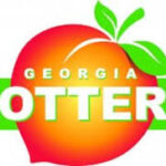 Georgia Lottery $1 million winning scratch-off ticket claimed by anonymous Athens resident at Winder QuikTrip store