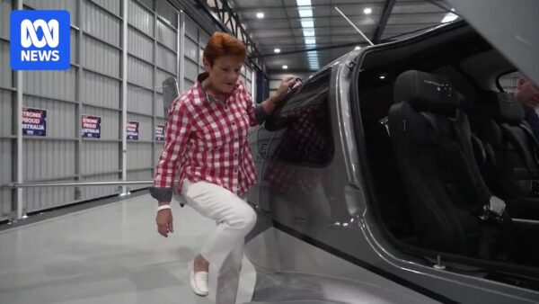 Gina Rinehart Gifts $1 Million Plane to Pauline Hanson