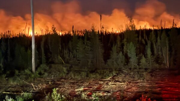 Aerial view of a forest area in Manitoba showing dry conditions ahead of the 2024 wildfire season