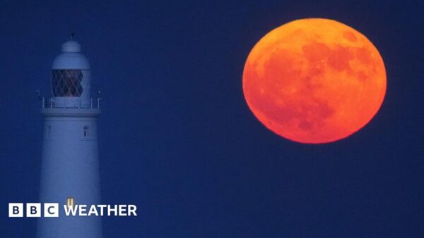 May's Flower Moon to Shine as Micromoon on May 1, 2026