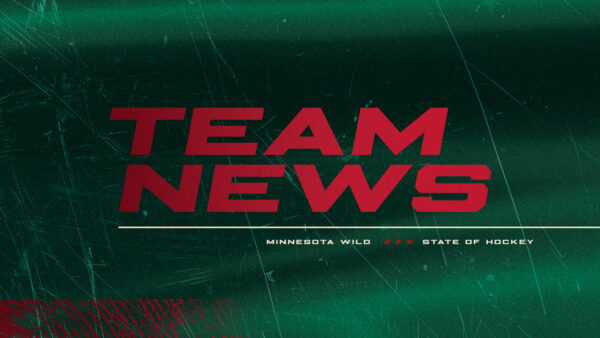 Minnesota Wild players Hunter Haight and Matt Kiersted recalled from Iowa Wild AHL