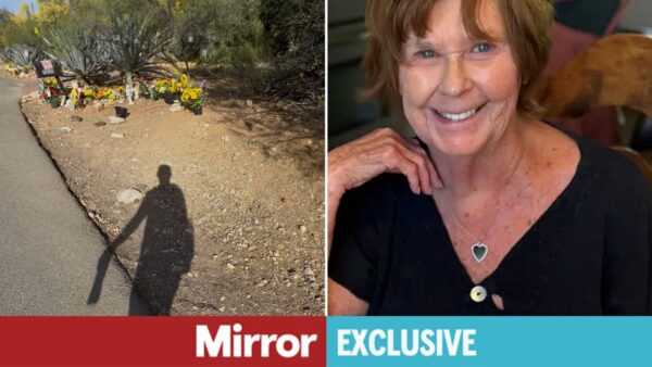 Nancy Guthrie memorial site in Catalina Foothills before removal