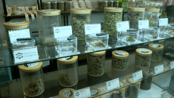 North Carolina Advisory Council on Cannabis report recommending marijuana regulation