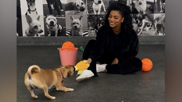 Taylor Rooks smiling while playing basketball with adoptable dog Jeff during their Dodo Dream Date