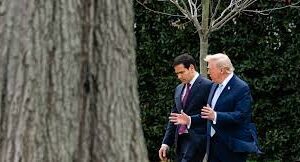 Former President Donald Trump discussing deportation policy and foreign agreements