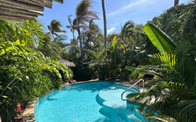 Discover Relaxation at Boardwalk Boutique Hotel Aruba