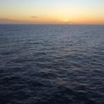 Giant Squid Detected in Deep-Sea Canyons off Australia