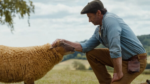 Hugh Jackman Stars in 'The Sheep Detectives' Family Mystery