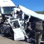 Peelander-Z Cancels San Francisco Concert After Serious Crash