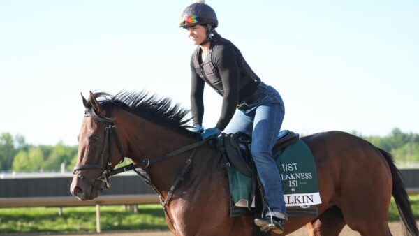 Preakness Stakes 2026: Top Predictions and Betting Insights