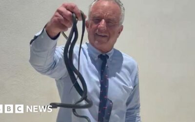 Robert F Kennedy Jr's Bold Encounter with Snakes in Florida